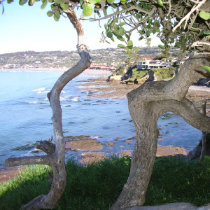 La-Jolla-Sightseeing Wind and Sea