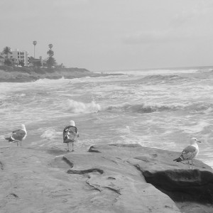 La-Jolla-Sightseeing Wind and Sea